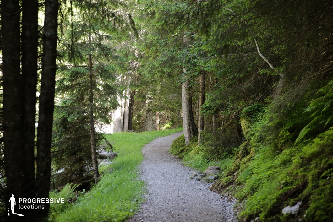 This natural location features a narrow, curved gravel path cutting through a dense coniferous forest. The scene is dominated by rich green tones from the surrounding moss-covered ground, ferns, and tall pine trees, which create a uniform, immersive color palette with a tranquil and secluded ambiance. The pathway is slightly elevated on one side, bordered by natural rock and vegetation, contributing to a layered visual depth. The towering tree trunks form vertical lines, enhancing the perspective and directing the viewer’s eye forward into the composition. This woodland setting offers excellent potential for film productions requiring an immersive natural environment, making it ideal for scenes in adventure, fantasy, or dramatic genres that benefit from a quiet, enveloping forest atmosphere.