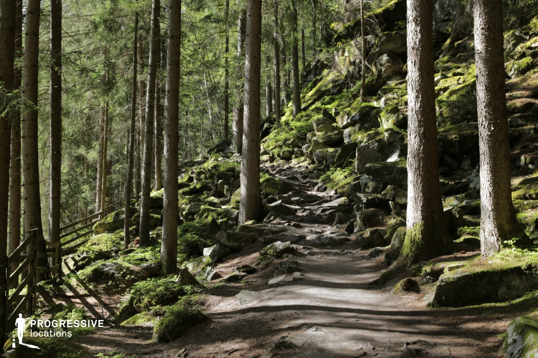 This image presents a tranquil forest trail bordered by tall pine trees and a rugged, moss-covered rocky slope. The earthy path winds upward, creating a sense of depth and natural rhythm, while the interplay of shadow and dappled light adds a rich texture to the scene. The steep incline of the mossy rocks on one side and the dense verticality of the trees on the other offer a dynamic composition, full of natural contrast. This location is excellent for filming due to its immersive, untouched forest atmosphere, making it ideal for fantasy, adventure, thriller, or historical films—perfect for scenes involving secret paths, escapes, hidden hideouts, or moments of introspection in nature.