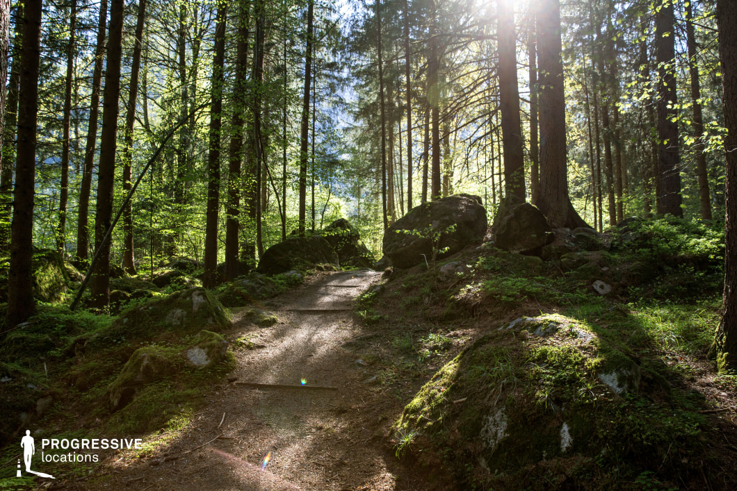 This forest location features a gently ascending dirt path flanked by moss-covered rocks and towering coniferous trees, creating a natural corridor framed by vertical lines and dappled light. The large, irregular boulders embedded in the undergrowth add a sense of timelessness and untouched wilderness. The interplay of light and shadow through the dense canopy enhances visual depth and atmosphere. This location is ideal for fantasy, adventure, or mystery genres, particularly for scenes involving characters journeying through enchanted woods, secret forest encounters, or introspective woodland walks.