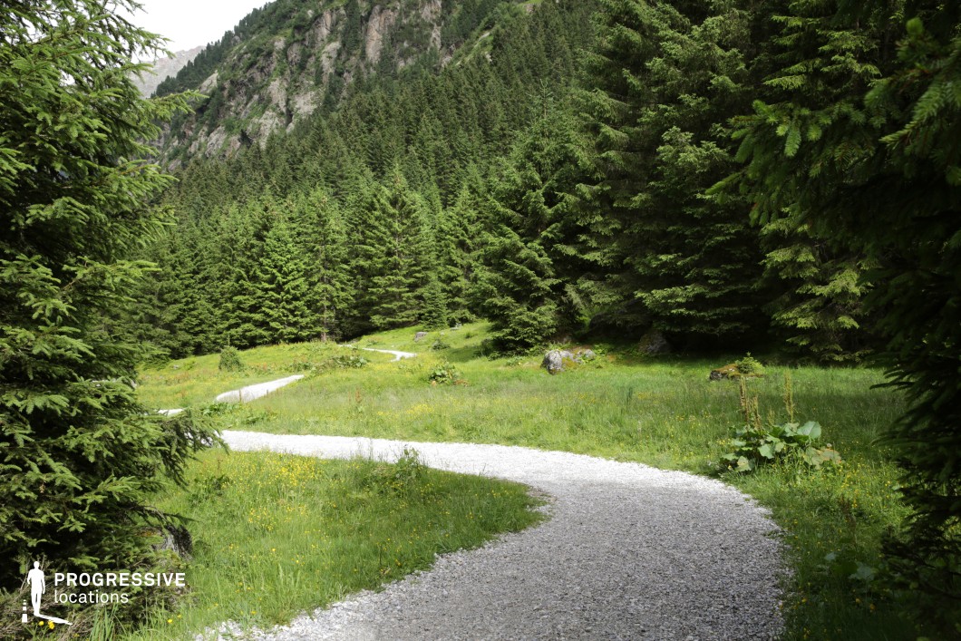 This location features a gently winding gravel path cutting through a lush green clearing, bordered by densely packed evergreen trees. The bright, grassy foreground opens toward a wall of conifer-covered hills, which rise steeply in the background and add a sense of natural enclosure. The curves of the path invite movement and narrative direction, while the towering trees and occasional rocky outcrops provide a sense of wilderness and scale. This setting is excellent for filming due to its balance of accessibility and immersive forest atmosphere, making it well-suited for genres like fantasy, coming-of-age, adventure, or romance—ideal for scenes of journeys, discoveries, introspective walks, or magical encounters.