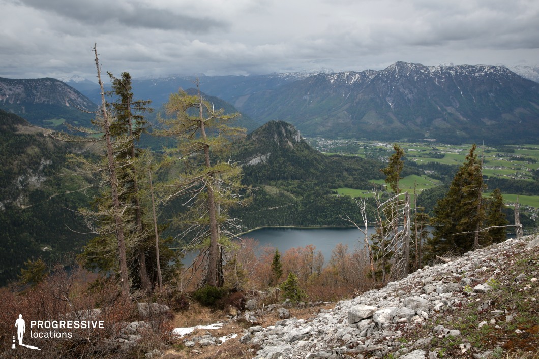 This elevated vantage point reveals a dramatic panorama over a deep valley with a serene lake, forested slopes, and distant villages nestled among towering mountains. Sparse, wind-shaped pine trees and rocky terrain in the foreground add a sense of altitude and exposure. This location is ideal for epic adventure, historical, or introspective drama genres, especially for scenes involving characters surveying the land, embarking on a journey, or reflecting in solitude atop a vast and rugged landscape.