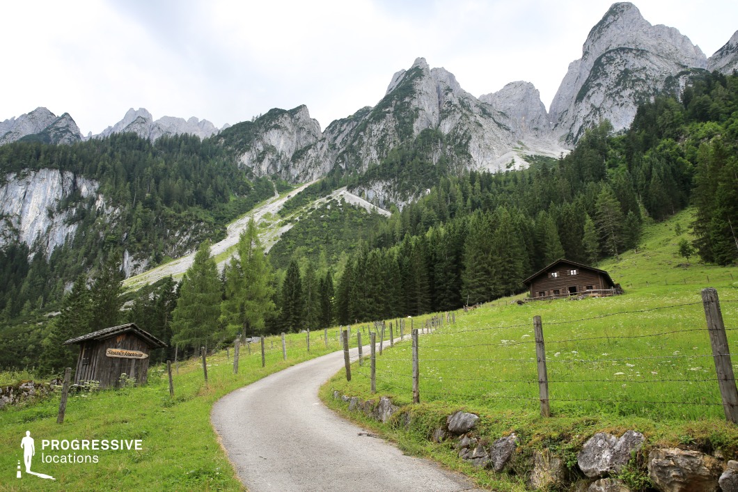 This picturesque mountain location features a narrow paved road that curves uphill through a fenced alpine meadow, flanked by a rustic wooden cabin and dense pine forest. Towering limestone peaks rise dramatically in the background, adding a rugged, vertical contrast to the soft green slopes. The landscape feels open yet enclosed by natural barriers, with the road providing a clear directional element for staging or movement. Ideal for films in the drama, romance, or rural adventure genres, this setting evokes themes of journey, isolation, and retreat, offering a scenic and narratively versatile mountain backdrop.
