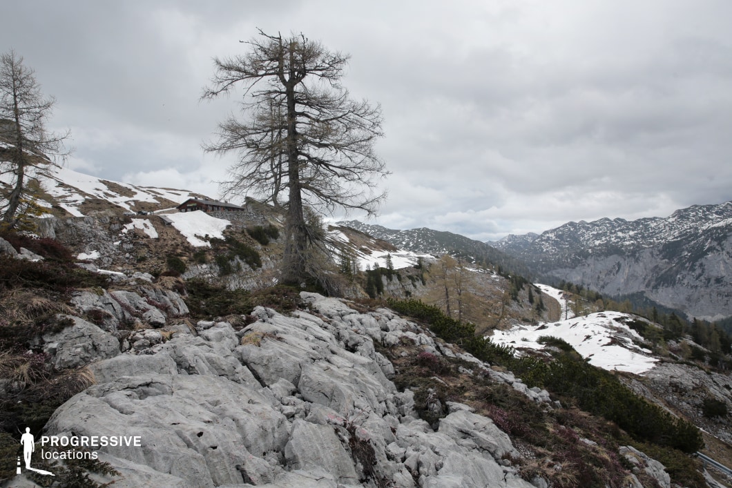 This remote mountain landscape is marked by jagged limestone outcrops, sparse vegetation, and lingering snowfields under a dramatic, cloud-filled sky. The presence of a solitary structure in the distance and the twisted forms of wind-swept trees heighten the sense of isolation and resilience. With its stark, weathered terrain and sweeping vistas, this location is perfect for psychological dramas, survival narratives, or epic fantasy scenes involving quests, solitude, or transitions through unforgiving mountain passes.