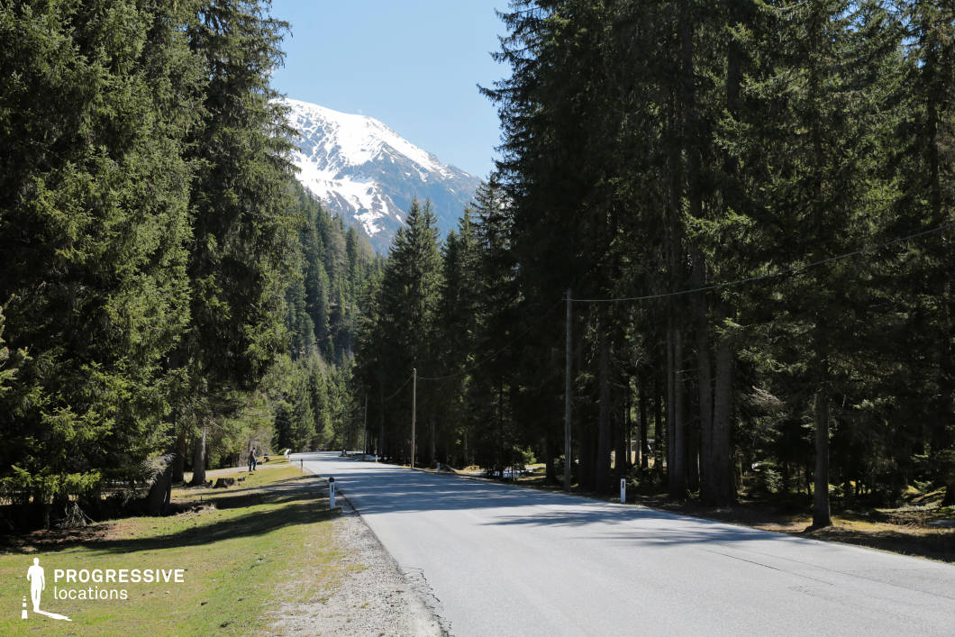 This location features a smooth, two-lane paved road winding gently through a dense pine forest, framed on both sides by tall evergreen trees that create a strong vertical rhythm across the composition. The road curves slightly into the distance, offering depth and a natural vanishing point, while wooden utility poles follow its line, emphasizing the rural infrastructure. The backdrop includes a prominent snow-capped mountain peak that rises above the treetops, adding a dramatic visual anchor and enhancing the sense of elevation and remoteness. The foreground shows a mix of gravel and grass shoulders, creating a natural transition between the built and wild environments. This visually dynamic yet tranquil setting is highly versatile for filming, particularly suited to road sequences, nature documentaries, or atmospheric scenes in adventure or psychological drama genres.