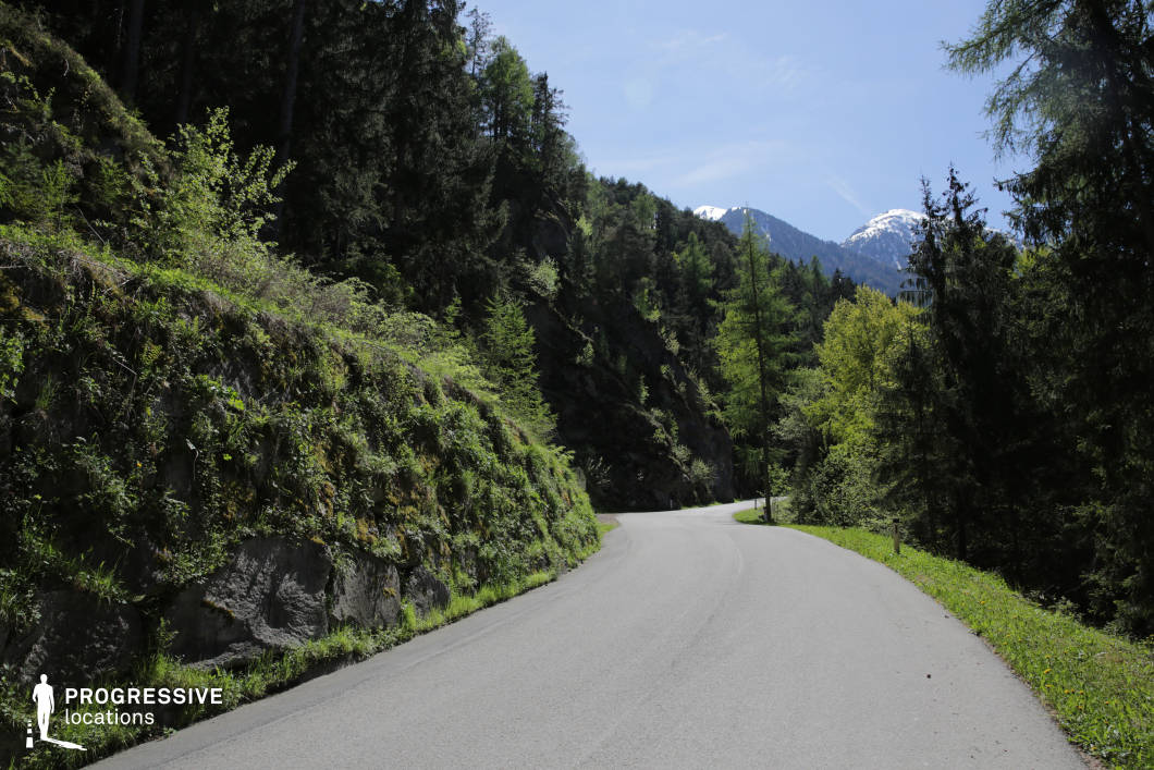 This image depicts a winding mountain road carved through a densely wooded landscape, flanked on one side by a steep, vegetation-covered rock wall and on the other by sloping terrain descending into a forested valley. The road itself is smoothly paved and relatively narrow, following a gentle curve that disappears into the surrounding conifers. The dominant green tones of pine and deciduous trees, contrasted with the gray of exposed rock and asphalt, create a natural yet structured visual balance. Snow-capped peaks in the distance add vertical dimension and geographic context, hinting at an alpine setting. The subtle elevation changes and the sinuous alignment of the road offer dynamic depth and movement within the composition. This location is highly versatile for filming, particularly suitable for dramatic or contemplative travel sequences, nature documentaries, or suspenseful scenes in thrillers and road films.