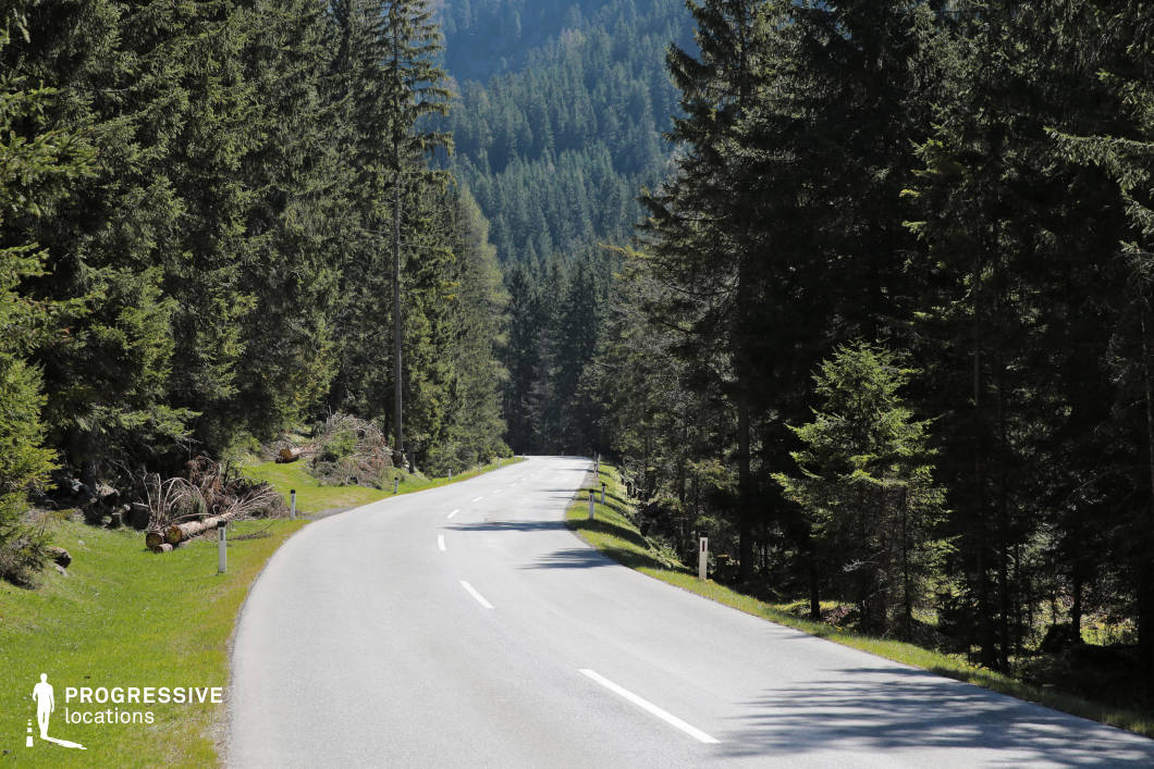 This location features a two-lane asphalt road that winds gently through a dense coniferous forest, bordered by lush grass embankments and surrounded by tall, uniform evergreen trees. The visual rhythm of the tree trunks and the consistent vertical lines of the pines create a strong geometric structure, while the subtle curvature of the road adds dynamic movement to the composition. The depth of the forested valley in the background enhances the sense of scale and isolation. The natural color palette is dominated by deep greens and muted grays, contributing to a serene, somewhat secluded atmosphere. This forest road is ideal for filming scenes requiring a remote, natural, or introspective ambiance, making it suitable for genres such as drama, thriller, or road-movie narratives, and it supports tracking shots, driving scenes, or contemplative walking sequences.