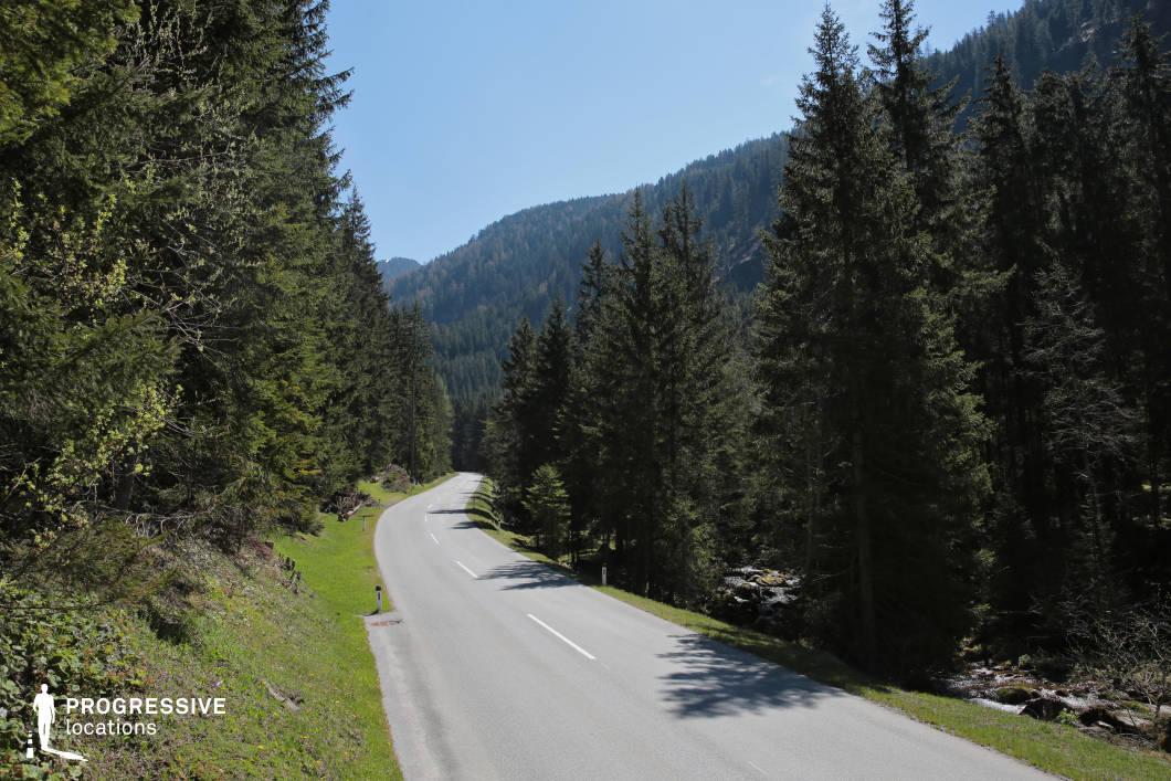 This location features a winding asphalt road that gently curves through a dense coniferous forest, flanked on both sides by tall evergreen trees. The road is well-maintained, bordered by short grass shoulders, and leads the eye toward a layered backdrop of pine-covered mountain slopes, creating a sense of depth and scale. The natural palette is dominated by rich greens and muted earth tones, offering a serene and timeless atmosphere. The verticality of the trees contrasts harmoniously with the soft curve of the road, enhancing the composition's visual rhythm. This secluded, linear setting is ideal for filming scenes requiring natural isolation, movement sequences, or transitions, particularly for genres like drama, thriller, or road movies.
