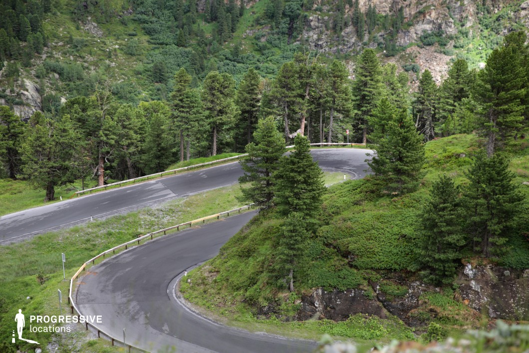 This scene showcases a tight hairpin turn embedded within a dense, mountainous pine forest. The narrow, freshly paved asphalt road curves sharply around a steep, vegetation-covered slope, bordered by safety rails that accentuate the curve's geometry. The surrounding landscape is defined by a rich variety of green hues and vertical lines formed by the tall coniferous trees, contrasting with the horizontal flow of the road. The vantage point from above provides a clear view of the road's curvature and the depth of the terrain, adding visual dynamism. The mixture of natural textures—rocky outcrops, mossy undergrowth, and tree trunks—adds complexity and richness to the composition. This setting is ideal for filming scenes involving vehicle navigation, forest environments, or tense sequences in genres like thrillers, road movies, or nature-focused productions, where the dramatic curve and enclosed setting heighten cinematic tension and atmosphere.