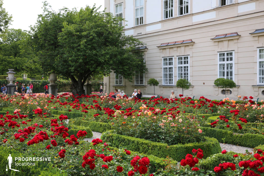 This formal rose garden is arranged in a highly structured layout defined by meticulously trimmed box hedges that form geometric patterns and narrow gravel paths. Dominated by a vivid palette of deep red, pink, and peach roses, the planting design enhances the garden's classical aesthetic. The background is anchored by a cream-colored historic building with tall, symmetrical windows and subtle architectural ornamentation, contributing a refined backdrop. Mature trees and large urns on pedestals add vertical contrast and frame the garden compositionally. The camera captures the scene from a slightly elevated frontal angle, emphasizing depth and layout regularity. This location is ideal for elegant, romantic, or period productions, providing a refined, European-style setting for scenes requiring structured beauty and historical ambiance.
