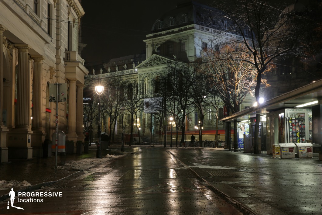The image captures a moody urban scene under artificial lighting at night, with grand classical buildings in the background. The focus is on an elegantly paved street with wet surfaces reflecting the city lights, enhancing the atmosphere of a quiet, historic area. In the foreground, columns and ornate details of nearby architecture contrast with the modern elements such as a kiosk. The surrounding trees, almost bare, add a stark yet captivating element to the scene. This location, with its mix of historical architecture, open space, and atmospheric lighting, provides a versatile setting for film genres such as period dramas, thrillers, or mystery films. Its street layout and combination of old and new elements are ideal for capturing both dramatic close-ups and wide, establishing shots.