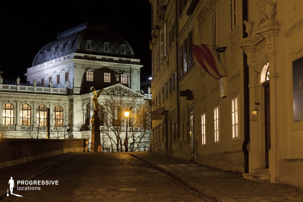 This image depicts a charming cobblestone street at night, leading towards a prominent historical building illuminated by soft lighting. The street, flanked by classic baroque-style buildings, creates a sense of depth, with the light from street lamps casting a warm glow over the cobblestones. A statue stands proudly in the distance, further emphasizing the area's historical significance. The combination of architectural beauty, gentle lighting, and the peaceful ambiance makes this location ideal for filming period dramas, historical or romantic films. The narrow, inviting street offers cinematic opportunities for both wide shots and intimate close-ups of architectural details, providing a versatile setting for various film genres.