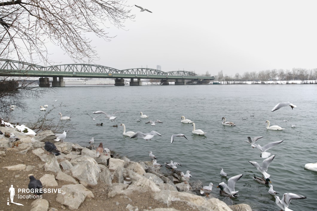 This tranquil riverside setting features a gently rippling body of water framed by a rocky shoreline and overhanging tree branches. A steel truss bridge spans the river in the background, adding an industrial contrast to the natural elements. The muted tones of the landscape create a calm and reflective atmosphere, while the open water and distant tree-lined banks provide depth and scale. The mix of rugged shoreline and structured bridgework makes this location ideal for filming contemplative moments, atmospheric travel sequences, or dramatic encounters set against a peaceful yet expansive backdrop.