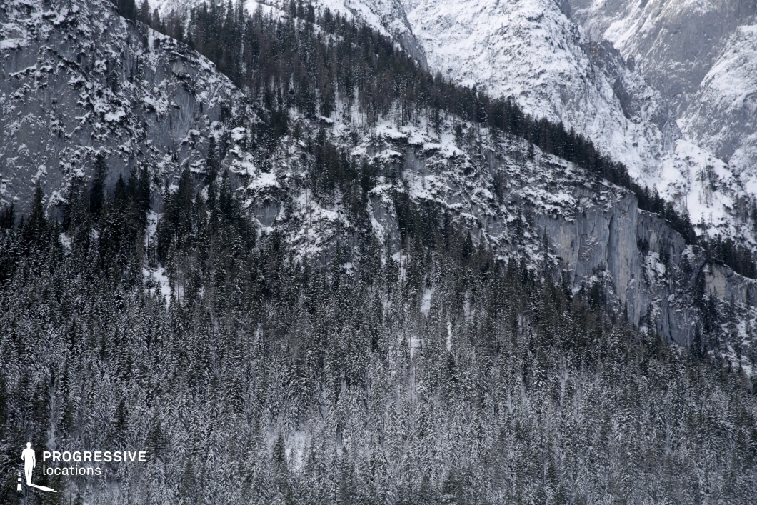 This natural location features a densely packed pine forest stretching across the lower third of a steep, rugged mountainside. The trees are coated in a uniform layer of snow, creating a striking contrast against the exposed grey rock face that dominates the upper portion of the slope. The terrain shifts vertically from soft, textured greenery to a dramatic cliffside, punctuated by vertical striations and irregular rock formations. The forest gradually thins as it ascends, giving way to more barren, icy rock faces that contribute to the raw, untamed atmosphere of the scene. The composition emphasizes height and scale, with the vertical rise of the landscape and the varied textures of stone and foliage enhancing visual depth. Ideal for filming in genres such as adventure, survival, nature documentaries, or fantasy, this secluded mountainous environment offers an immersive, dramatic backdrop for wide-angle establishing shots or introspective natural scenes.
