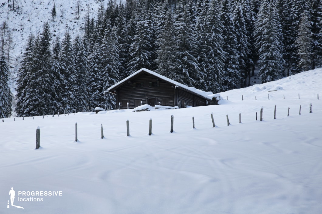 This location features a rustic wooden cabin situated on a gentle, snow-covered slope, framed by dense, vertically aligned pine trees. The structure is composed of dark timber, with a pitched roof accentuating the alpine architectural style. The surrounding terrain is softly undulating, with a series of low, evenly spaced wooden fence posts partially embedded in the snow, enhancing the sense of rhythm and depth in the composition. The forest in the background provides a rich, textured backdrop with its dense foliage, creating a strong visual contrast against the white foreground. The setting is isolated, immersive, and compositionally balanced, making it ideal for productions seeking natural seclusion. This location is especially suitable for drama, thriller, and nature-themed genres, and can serve as a setting for mountain retreats, wilderness exploration, or emotionally charged outdoor scenes.