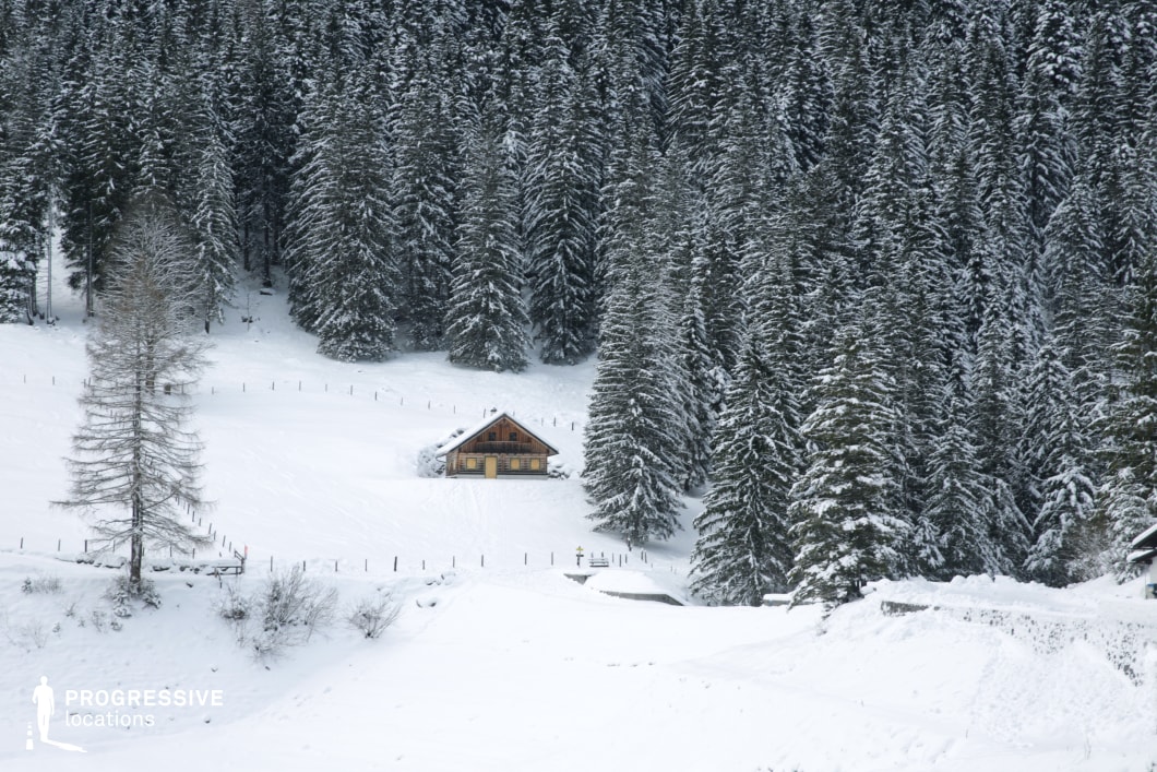 This image captures a solitary wooden cabin nestled at the base of a densely packed coniferous forest, surrounded by thick snow-covered terrain. The structure features a pitched roof, wood-panelled façade, and symmetrical windows, all contributing to a rustic and traditional alpine aesthetic. Towering evergreen trees dominate the backdrop, their vertical lines creating a dramatic visual frame that adds depth and contrast to the compact cabin. The composition emphasizes scale and isolation, with the cabin appearing modest against the vast forest wall. The snow-covered ground forms a smooth, uninterrupted surface that enhances the minimalist composition and directs focus to the architectural and natural forms. This location is ideal for filming due to its strong visual identity, natural symmetry, and atmospheric seclusion—suitable for genres like drama, mystery, or nature-focused content, and for scenes requiring solitude, introspection, or wilderness immersion.