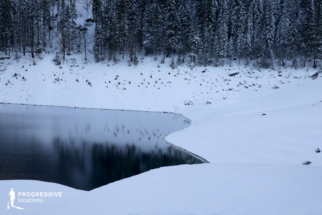 This landscape features a sharply defined natural shoreline where a dark, still lake meets pristine snow-covered terrain, backed by a dense forest of tall, symmetrical pine trees. The thick snow blankets both the gentle slopes and uneven ground, creating a soft, continuous texture that contrasts with the vertical rhythm of the forest behind. The image's muted color palette—dominated by whites, dark greens, and deep blues—emphasizes a cold, undisturbed atmosphere. The framing from an elevated, diagonal perspective captures both the reflective surface of the water and the forest's mirrored outline, enhancing depth and visual harmony. The setting offers a powerful sense of isolation and purity, making it ideal for filming atmospheric, contemplative scenes across genres like drama, mystery, and nature documentaries. Its striking visual contrast and natural minimalism also lend themselves well to wide establishing shots or emotionally charged sequences.