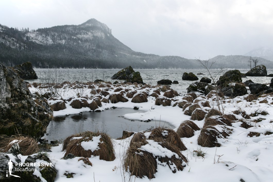 This remote lakeside landscape features a rugged shoreline densely populated with mossy boulders and thick clumps of dried grass partially buried under a consistent layer of snow. The terrain is uneven, with a shallow, reflective water pocket in the foreground creating a natural focal point. Dark, angular rocks protrude from both the shore and the lake, adding depth and geometric texture. In the background, a forested mountain ridge rises sharply, its tree line forming a dark, continuous silhouette against the overcast sky. The color palette is dominated by muted earth tones and grays, contributing to a raw, untouched, and desolate atmosphere. The location’s visual isolation and dramatic natural contrast make it ideal for filming scenes in genres like drama, survival, or psychological thrillers, and it works especially well for introspective moments, confrontation settings, or nature-focused sequences.
