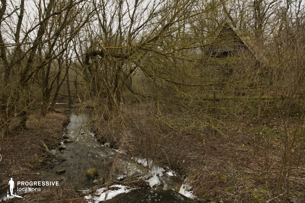 This secluded woodland location features a narrow, winding stream bordered by dense undergrowth and a forest of leafless trees, creating a tangle of vertical and horizontal lines. Moss-covered branches extend over the water, enhancing the organic, untouched appearance of the environment. The underbrush is thick with dried vegetation and scattered rocks along the water's edge. Nestled in the background, partially obscured by the trees, a small wooden structure with a steep triangular roof blends into the setting, adding a subtle architectural contrast to the natural scene. The earthy color palette of browns and greens reinforces a quiet, remote atmosphere. The depth of field, with a visible path of the stream leading into the woods, supports a layered and immersive composition. This setting is ideal for suspenseful, mysterious, or introspective scenes, and serves well in genres such as psychological thriller, horror, or nature-based drama.