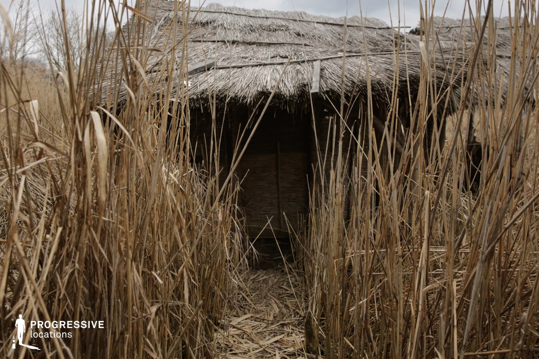 This location features a rustic reed hut partially concealed by dense, tall dry grasses, evoking a secluded, primitive setting. The structure is made entirely from natural materials—bundled reeds and wooden supports—resulting in a monochromatic palette of earthy browns and muted tans. The narrow path leading to the darkened doorway enhances the hut’s mysterious and remote character, while the textured roofing and woven wall panels underscore its handcrafted simplicity. The vertical rhythm of the surrounding reeds creates strong visual contrast and depth, contributing to an immersive, untamed atmosphere. This setting is ideal for productions requiring isolated, historical, or survivalist environments, such as period dramas, ethnographic narratives, or fantasy-adventure scenes.