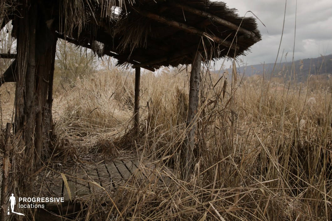 This secluded natural location features a rudimentary wooden shelter with a thatched reed roof, nestled within dense, untamed vegetation dominated by tall, dry reeds. The structure, made from raw timber poles and a plank floor, appears weathered and minimally constructed, blending seamlessly into the surrounding landscape. The overgrowth of reeds encroaching on the shelter adds to the raw, organic aesthetic and enhances the immersive sense of abandonment and wilderness. The uneven terrain and partial enclosure created by the vegetation establish a visually textured and intimate environment. This location is well-suited for scenes requiring a primitive, naturalistic setting, such as survival narratives, wilderness exploration, or period pieces focused on pre-modern life, thanks to its raw materials, limited human impact, and strong environmental immersion.