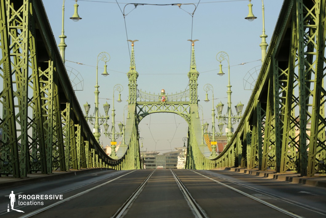 This image presents a historic green iron bridge with a symmetric and highly decorative structure. The ornate lampposts, intricate lattice framework, and grand archway crowned with an emblem create a classic European architectural aesthetic. The wavy, dynamic lines of the bridge and its detailed ironwork give it a distinctive character, making it an ideal backdrop for period film productions, architectural showcases, and urban storytelling. The tram tracks running along the center highlight the bridge’s functional role in urban transit, while the decorative archway with crest details and eagle sculptures adds a monumental, regal presence. This location offers a visually rich combination of heritage, elegance, and structural engineering, perfect for cinematic sequences, historic reconstructions, or dramatic urban compositions.