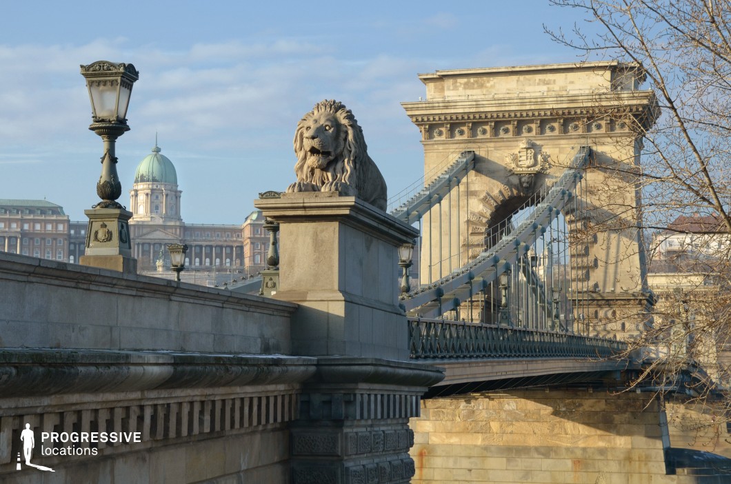 A grand suspension bridge with intricate ironwork and imposing stone pillars spans across the frame, showcasing classical European architecture. A sculpted stone lion rests atop a pedestal at the bridge entrance, exuding strength and historical significance. The bridge's ornate cast-iron street lamps contribute to its old-world charm, while its suspension cables lead the eye toward the monumental stone archway in the background. The surrounding setting includes a stately palace with a green dome, adding depth and context to the scene. Bare branches frame the composition, enhancing the architectural symmetry. This location provides an ideal backdrop for film productions, period dramas, and visually rich storytelling.