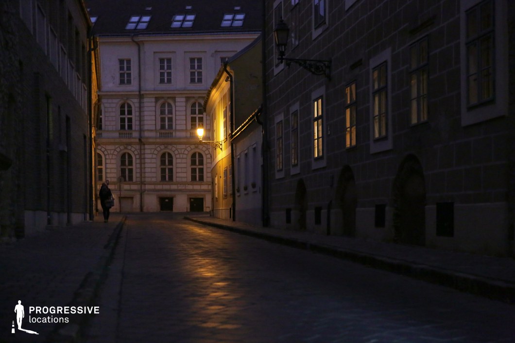 A quiet, dimly lit cobblestone alley flanked by historic buildings with elegant facades. The scene is defined by warm light from a single ornate streetlamp, casting subtle reflections on the stone pavement. The contrasting textures of the smooth plaster and decorative masonry create a visually rich atmosphere, while the symmetry of arched windows and doorways enhances the architectural depth. The alley gently slopes towards a grand neoclassical-style building at the end, adding perspective and a sense of destination. This location is ideal for period film settings, mystery narratives, or atmospheric European street photography.