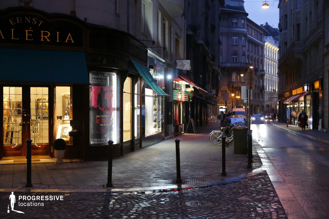 A charming European street corner featuring an elegant gallery with large illuminated windows and classic signage. The cobblestone pavement and cast-iron bollards add to the old-world atmosphere, while the gently curving street leads towards warmly lit shops, cafés, and historic buildings. The contrast between the glowing storefronts and the cool blue evening light creates a dynamic, cinematic feel. The narrow street lined with period architecture offers depth and perspective, making this location ideal for urban lifestyle photography, film noir aesthetics, or projects capturing the essence of historic city nightlife.