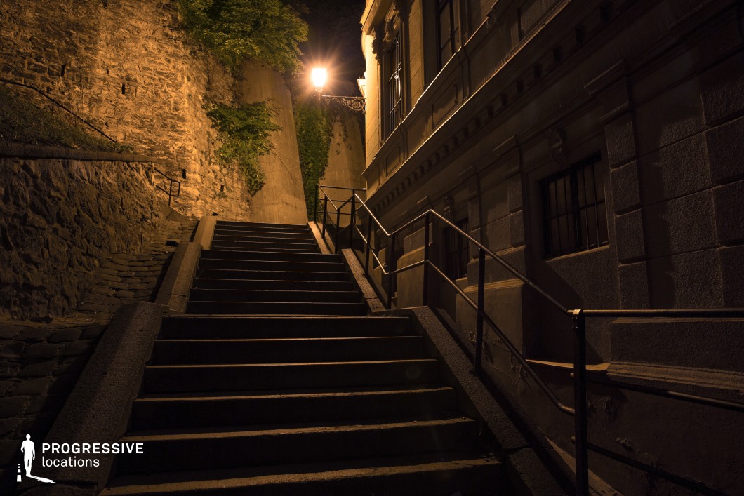 A steep, dimly lit stone stairway ascends between a historic building and a textured stone wall, creating a dramatic sense of depth and perspective. The glow from an ornate street lamp casts warm, golden light onto the rugged surfaces, enhancing the contrast between the structured masonry and the creeping greenery along the wall. The combination of aged architectural details, worn stone steps, and metal railings adds to the stairway’s timeless, atmospheric appeal. The interplay of light and shadow accentuates the texture of the surrounding materials, while the converging lines of the stairway and walls naturally guide the viewer’s eye upward. This location is well-suited for film noir aesthetics, historical dramas, or moody urban photography. The enclosed nature of the stairway, combined with its classical European setting, makes it an ideal backdrop for evocative storytelling and visually striking compositions.