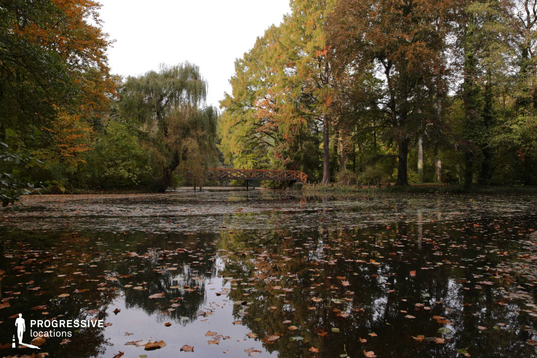 This serene lakeside scene captures the essence of autumn, with the water reflecting vibrant foliage from surrounding trees. The trees display a variety of autumn colors, from the golden hues of the fallen leaves to the deep greens of evergreens. A wooden bridge arches over the water, adding a rustic element to the natural setting. The water’s surface is dotted with scattered leaves, further enhancing the calm atmosphere. The composition offers a peaceful, almost contemplative environment, making it ideal for scenes that require a tranquil, natural setting. The balance between the reflective water and the vivid trees creates a harmonious visual experience, offering versatile potential for different types of creative projects. The overall atmosphere suggests an ideal backdrop for nature-focused cinematography or visual storytelling that highlights natural beauty and the passage of time.