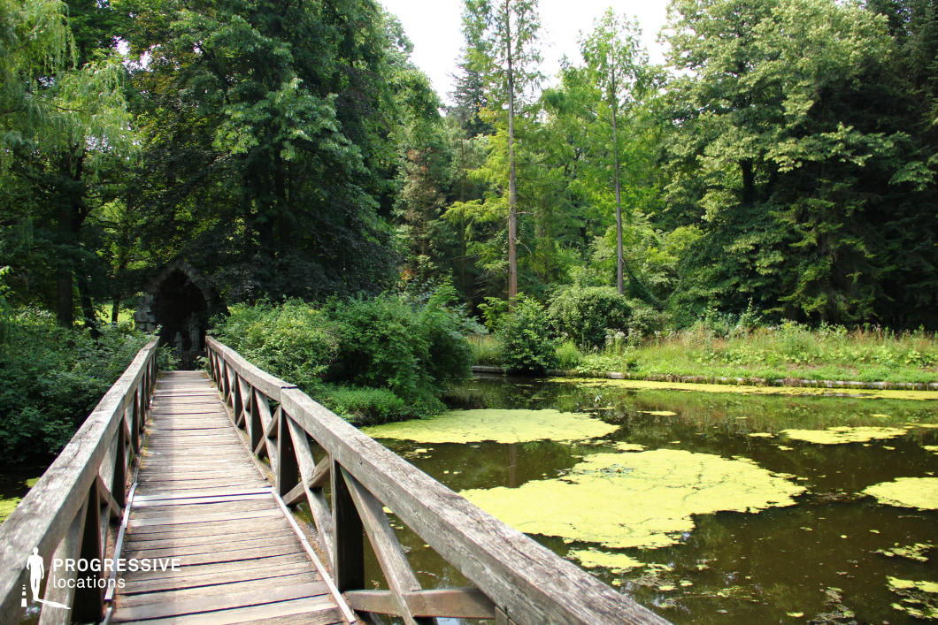 This peaceful park scene features a rustic wooden bridge spanning over a calm waterbody, surrounded by lush greenery. The bridge’s weathered wooden planks and handrails provide a charming, natural aesthetic, leading the eye toward a small stone archway visible in the distance. The water is partially covered with vibrant green lily pads, contrasting with the rich green foliage of the trees that line the bank. The dense forest backdrop creates an immersive, secluded atmosphere, ideal for scenes requiring natural beauty and serenity. The combination of the bridge, water, and surrounding vegetation offers versatile opportunities for cinematic or photographic uses, from tranquil moments to natural landscape shots. The rustic charm and solitude of the location make it suitable for intimate, peaceful scenes or nature-focused projects.