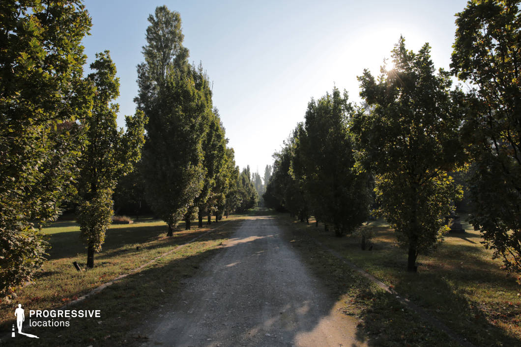 This image showcases a peaceful, tree-lined gravel path winding through a park. The road stretches into the distance, flanked by evenly spaced trees with rich green foliage. The sunlight filters through the branches, casting dappled shadows on the path and creating a warm, inviting atmosphere. The path, though simple and unpaved, offers a sense of serenity and open space, with the trees providing a gentle frame that enhances the depth of the scene. The natural elements of the scene—earthy gravel, lush greenery, and the soft light—combine to evoke a calm and tranquil setting. This location is ideal for scenes requiring a quiet, contemplative environment, perfect for portraying serene walks, leisurely moments, or the beauty of natural landscapes. The pathway’s open-ended view adds a sense of anticipation, making it adaptable for various types of creative projects focused on nature or tranquil surroundings.