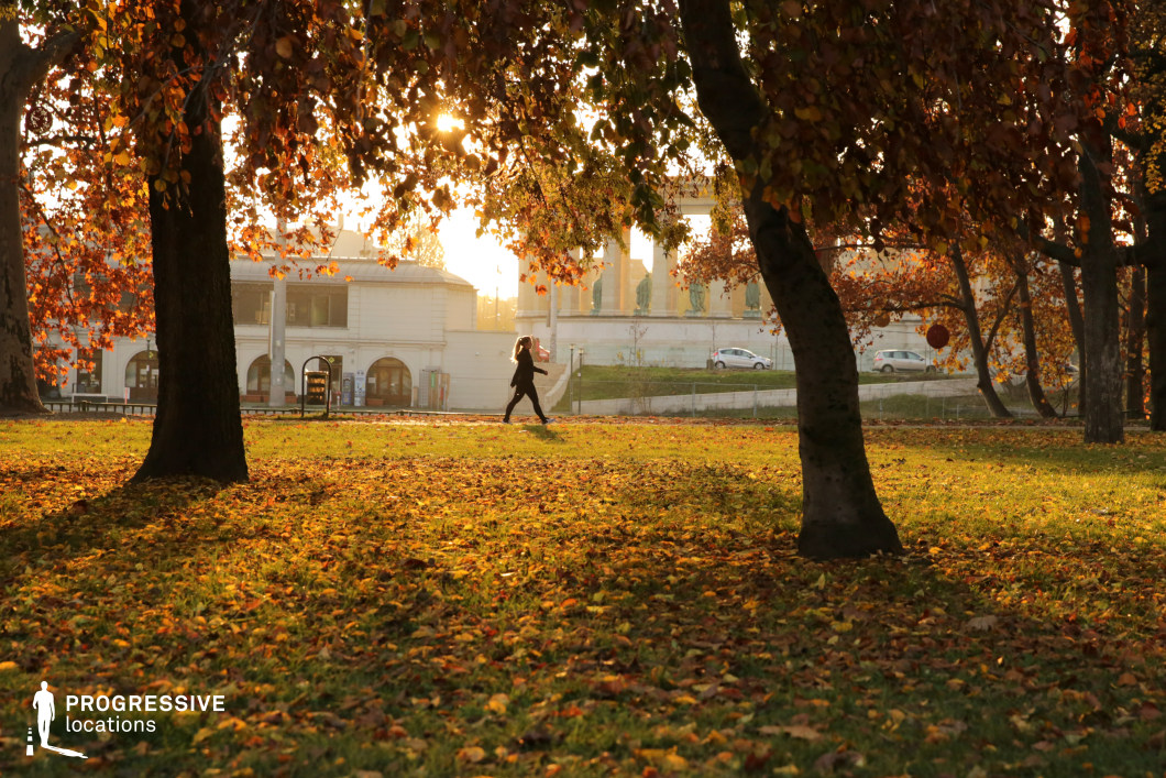 This serene park offers a calm, expansive setting with neatly arranged trees and a well-maintained grassy area. In the background, a classical building with elegant pillars adds architectural grandeur to the natural landscape, providing a balanced contrast between nature and structure. The open space and inviting surroundings make it an ideal location for a variety of film scenes. The park’s peaceful atmosphere, combined with the visual appeal of the classical building, makes it well-suited for quiet, reflective moments or scenes requiring a sophisticated, timeless backdrop. Its versatility allows it to be adapted for intimate interactions, leisurely walks, or larger cinematic settings, offering a setting that emphasizes both nature and elegance without overwhelming the action.