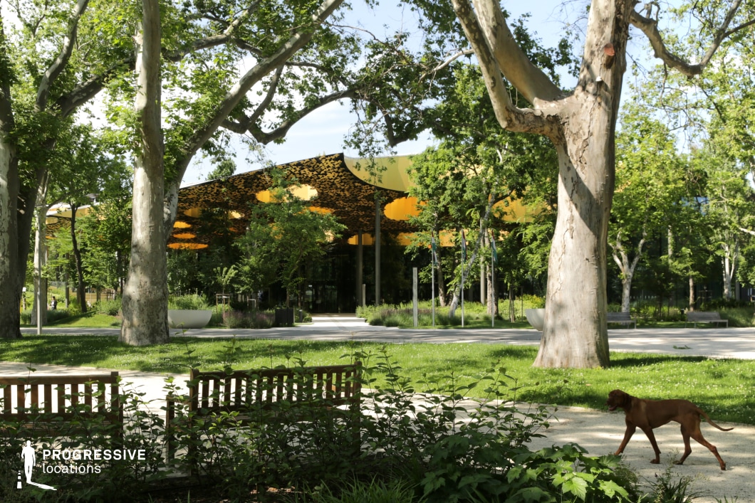 This image showcases a vibrant, modern urban park featuring a spacious green area with well-maintained pathways, benches, and mature trees. In the foreground, a low wooden bench is visible, providing a functional element that invites relaxation or observation. The park's lush vegetation includes both tall trees and bushes that line the pathways, adding to the overall serene atmosphere. In the background, a contemporary building with a striking golden canopy sits, its roof resembling intricate patterns, contrasting beautifully with the greenery. The building is surrounded by various plantings, creating a harmonious blend of architecture and nature. The scene also features a dog walking along the pathway, contributing a touch of liveliness to the peaceful park setting. This location offers a versatile backdrop suitable for urban, contemporary, or even nature-based scenes, ideal for various creative projects or shoots.