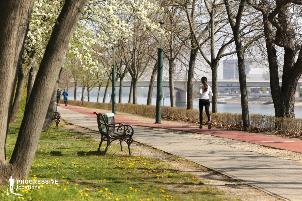 This image captures a picturesque riverside promenade lined with tall, mature trees, some of which are in bloom. The path is divided into a pedestrian walkway and a red jogging track, offering a dedicated space for both leisurely walks and active recreation. Elegant wrought iron benches with intricate designs are positioned along the pathway, providing shaded resting spots amidst the greenery. The grass is dotted with small flowers, enhancing the natural beauty of the setting. In the background, a calm river flows alongside the path, with a bridge and modern buildings visible in the distance, adding an urban contrast to the tranquil park. The presence of street lamps suggests that the walkway is well-lit, making it a practical and inviting location for various outdoor activities. This setting is ideal for fitness-themed visuals, lifestyle photography, or as a backdrop for contemplative and scenic urban storytelling.