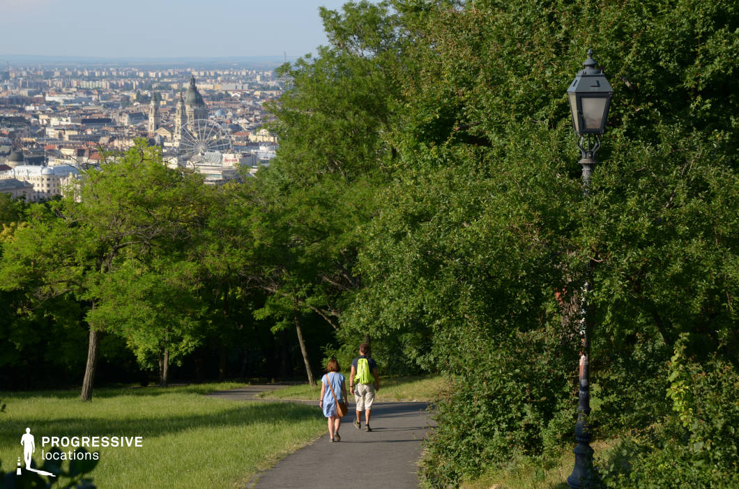 This image captures a peaceful park pathway leading to a breathtaking panoramic view of a historic cityscape. The gently winding asphalt path is flanked by lush greenery, including mature trees and dense shrubs, creating a natural tunnel effect. A classic, wrought-iron street lamp stands along the pathway, adding a nostalgic and timeless touch to the setting. In the background, the city skyline unfolds, featuring a mix of historic and modern architecture. A grand domed building and a large Ferris wheel serve as focal points, adding to the dynamic urban landscape. The rolling hills in the far distance provide a sense of scale and depth, making the viewpoint feel expansive and immersive. This location is ideal for travel and cityscape photography, outdoor lifestyle visuals, or productions emphasizing the contrast between nature and urban environments. The well-balanced composition makes it a visually compelling setting for various creative projects.