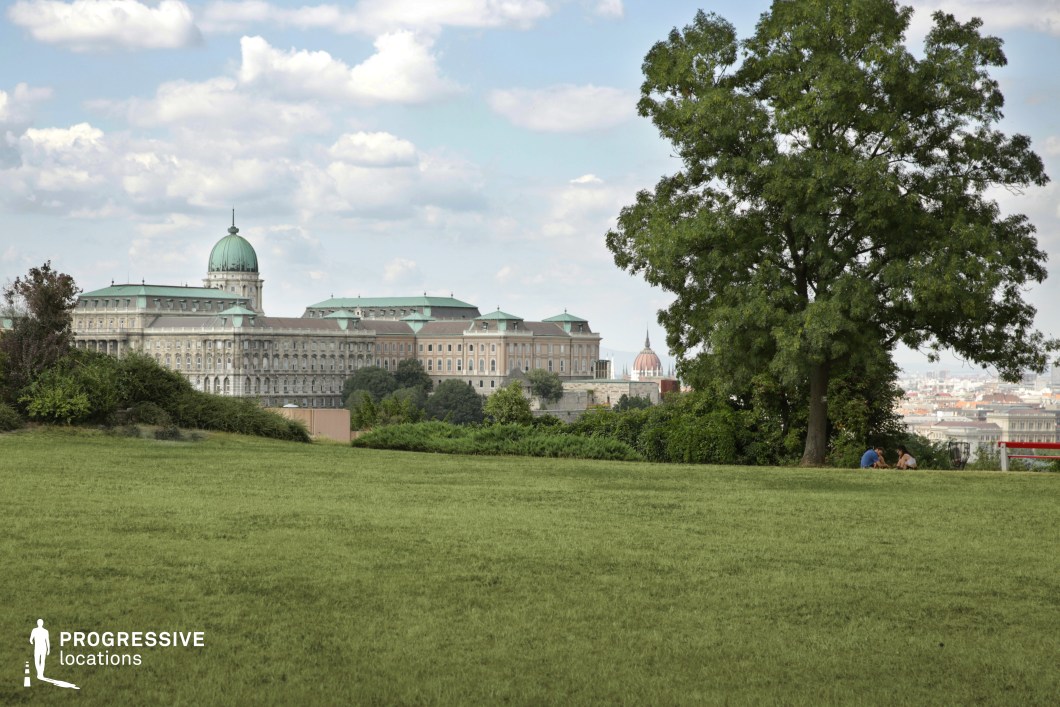 This image presents a striking composition of a grand historic castle viewed from an open grassy park. The foreground features a well-maintained lawn with a single large tree standing to the right, its lush foliage framing the scene. A few shrubs and bushes add texture to the natural setting, while the gentle slope of the terrain creates depth and perspective. In the background, the castle dominates the skyline with its imposing architecture, featuring a central dome and classical facades adorned with green copper roofs. A glimpse of another notable domed building can be seen in the distance, reinforcing the rich architectural heritage of the city. Beyond the structures, the urban skyline extends toward the horizon, balancing the blend of historical and modern elements. This location is ideal for cityscape photography, historical-themed visuals, or productions that require a regal and picturesque backdrop. The contrast between the vast green space and the monumental architecture provides a cinematic and visually compelling setting.