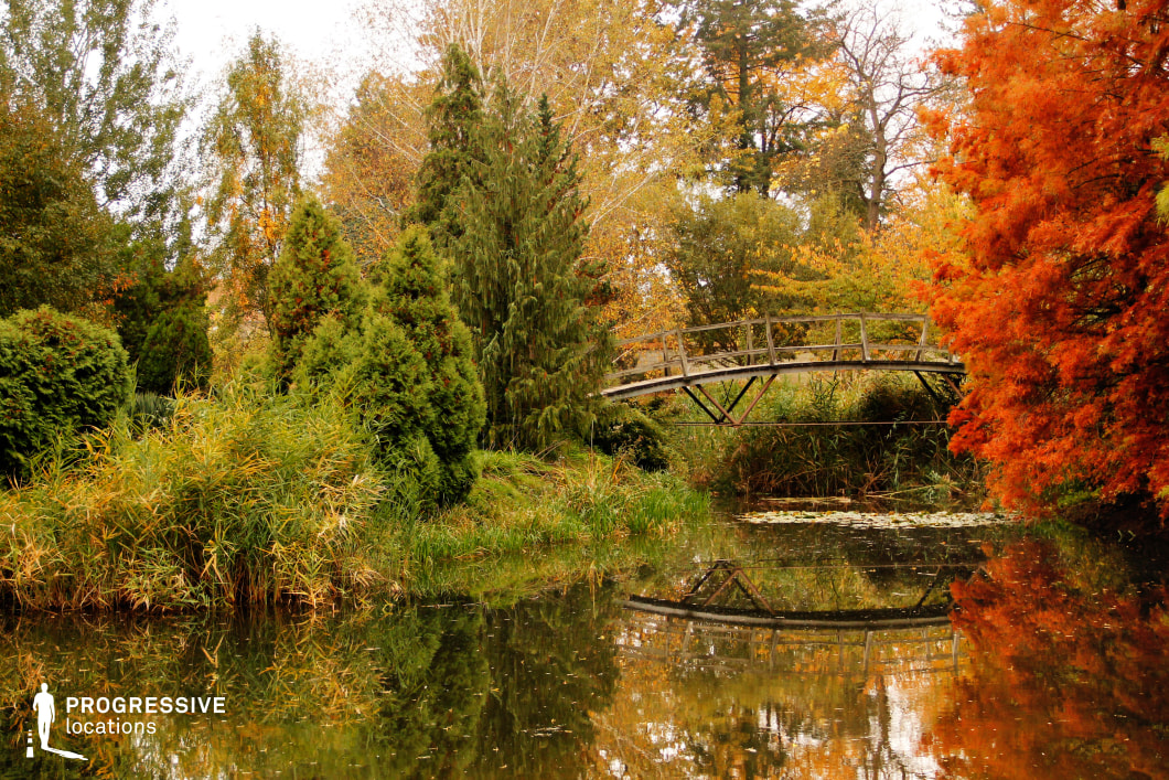 This image captures a serene park setting featuring a gracefully arched wooden footbridge spanning a calm pond. The still water reflects the surrounding greenery, enhancing the tranquil and immersive natural atmosphere. The dense vegetation includes a mix of evergreen shrubs, tall grasses, and leafy trees, creating a rich and layered landscape. The scene is framed by vibrant foliage, with various shades of green contributing to a lush and thriving environment. The footbridge, with its rustic wooden construction, blends seamlessly into the natural surroundings, adding a charming focal point to the setting. Overhanging branches and dense plant life along the water’s edge create depth and a sense of enclosure, making this space feel secluded and peaceful. This location is ideal for nature photography, relaxing outdoor scenes, or productions requiring a picturesque, organic backdrop. The combination of reflective water, diverse plant life, and a rustic bridge makes it a visually compelling and versatile setting.