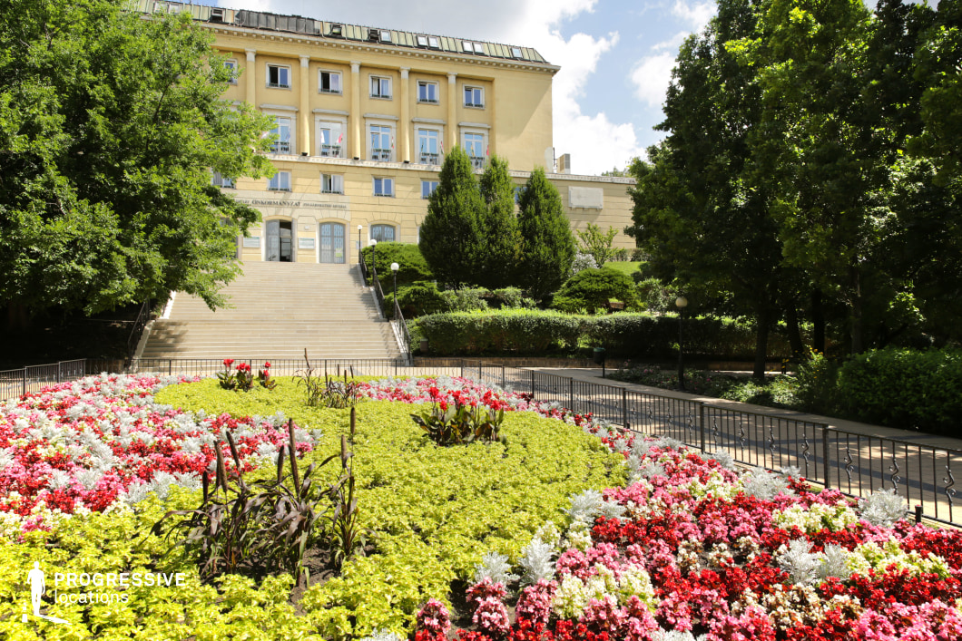 This image showcases an elegant urban park featuring a meticulously arranged flower garden in the foreground. The symmetrical floral design, composed of vibrant reds, soft whites, and lush green plants, is bordered by a black wrought-iron fence, adding structure and refinement to the scene. The landscaped greenery continues beyond the flower beds, with neatly trimmed bushes and ornamental trees enhancing the setting. A grand stone stairway leads up to a stately classical-style building in the background. The building features a symmetrical facade with tall windows, decorative columns, and a warm yellow exterior that contrasts with the rich greenery of the park. The surrounding trees frame the composition, adding depth and balance. This location is ideal for productions requiring a sophisticated and well-manicured public space, historical urban settings, or picturesque garden landscapes. The combination of classical architecture, structured landscaping, and vibrant plant life creates a visually striking and versatile setting.