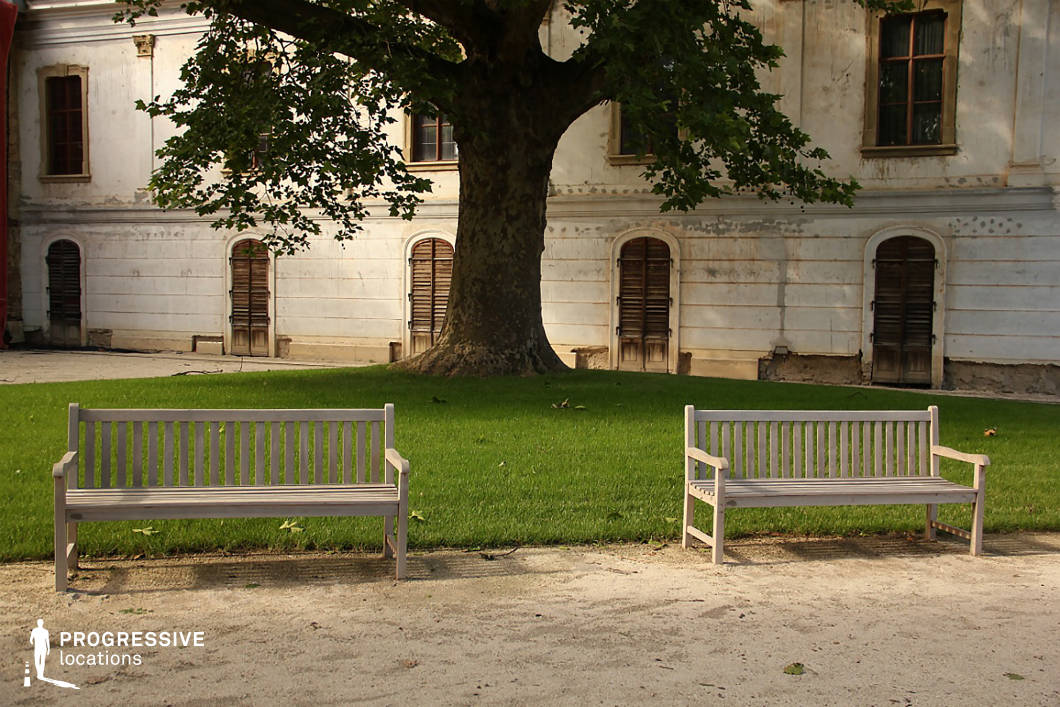 A serene garden setting featuring two wooden benches placed symmetrically in front of a mature tree with lush green foliage. The benches are positioned on a compacted dirt path, contrasting with the well-manicured grass behind them. The backdrop showcases a historic building with weathered white walls, tall arched windows, and rustic wooden shutters, adding a sense of aged charm to the environment. The scene is characterized by soft natural light filtering through the tree’s branches, creating dappled shadows on the ground. The combination of greenery, historical architecture, and classical garden elements makes this location ideal for period film settings, elegant outdoor shoots, or tranquil park visuals.