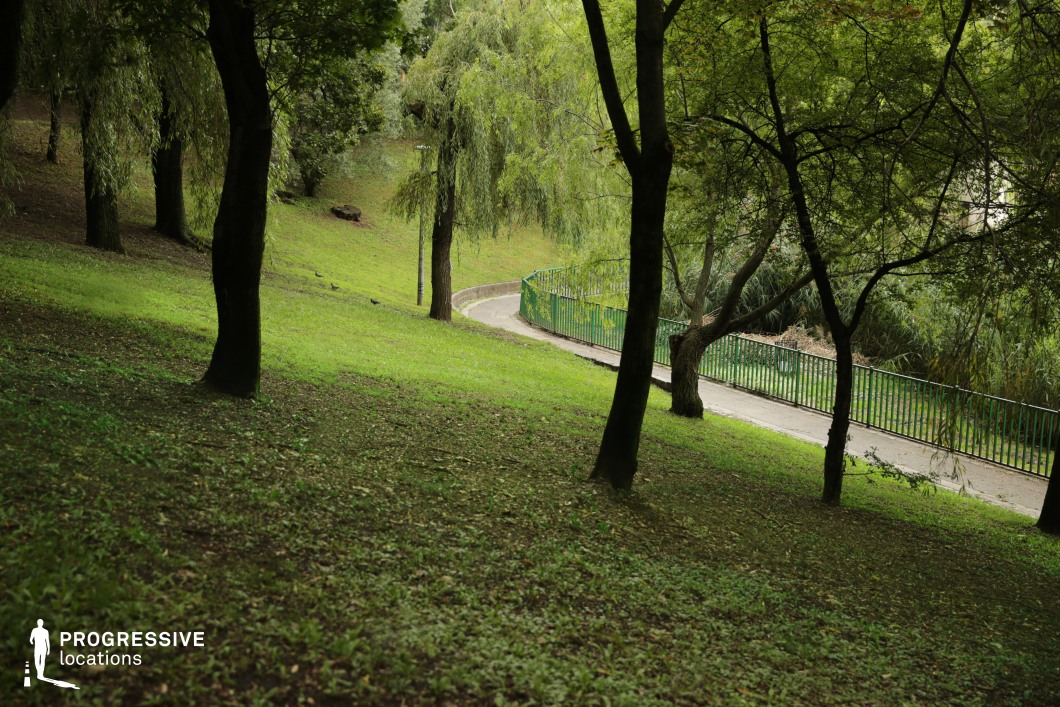 A gently sloping park area with lush green grass is dotted with tall, mature trees, their leafy canopies creating a serene, shaded atmosphere. The natural terrain leads towards a meandering paved pathway, bordered by a green metal railing, adding a structured element to the organic surroundings. In the background, dense vegetation and reeds grow near a body of water, hinting at a tranquil riverside or pondside location. The combination of open grass, wooded elements, and a curving path makes this an ideal setting for peaceful outdoor scenes, nature-focused cinematography, or reflective moments in film and photography.