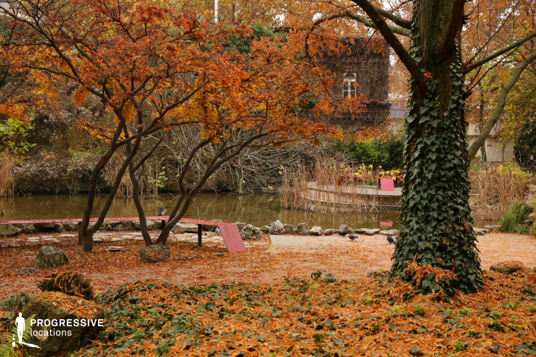 A picturesque garden setting featuring a calm pond surrounded by lush vegetation and rustic architectural elements. A large tree draped in ivy dominates the foreground, while smaller ornamental trees with intricate branching add depth to the scene. The pond is edged with natural stones, reeds, and aquatic plants, enhancing the organic atmosphere. A weathered wooden platform and benches provide a contemplative resting space, seamlessly blending into the natural environment. In the background, an aged stone structure with arched windows introduces a historical character to the location. This garden offers an ideal setting for tranquil outdoor shoots, fantasy-inspired scenes, or elegant promotional visuals.