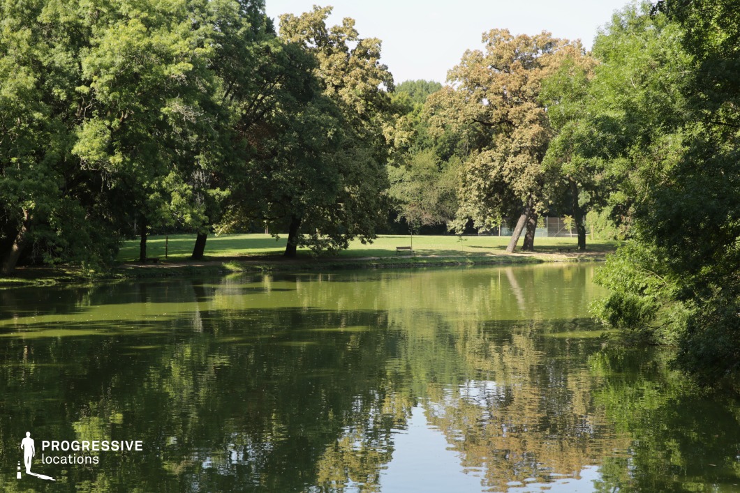  A peaceful lakeside scene in a lush park, with tall trees framing the water’s edge. The calm lake reflects the surrounding greenery, creating a mirror-like effect. A bench sits along the bank, positioned to take in the view of the serene water and shaded areas. The trees provide a canopy of shade, enhancing the tranquil, natural atmosphere. The well-kept grass and gentle slope leading down to the water contribute to the space's sense of quiet and relaxation. This location offers a versatile, natural backdrop perfect for creative projects that emphasize calm, solitude, and the beauty of untouched nature. The setting is ideal for scenes requiring a peaceful environment or for any production seeking a serene and natural setting.