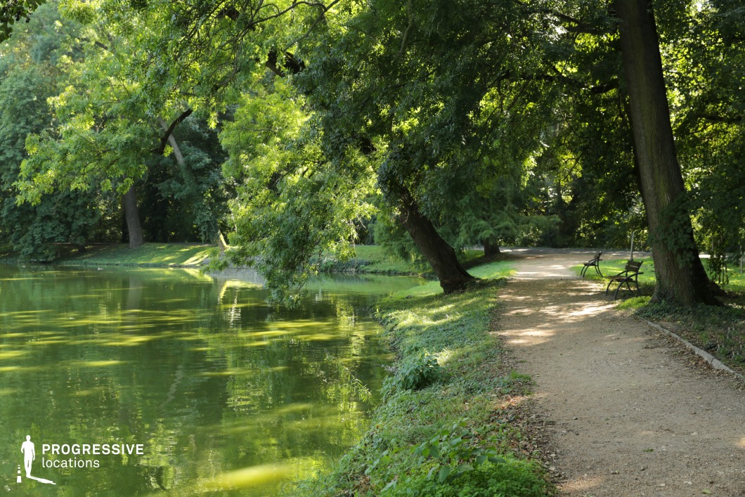  A serene lakeside path winding through an abundant display of lush greenery. Towering trees form a dense canopy above the dirt trail, their thick foliage creating a rich, natural archway. The path stretches beside the tranquil waters, where the vibrant greenery of the trees and surrounding plants is mirrored in the calm lake. The air feels fresh and invigorating, filled with the scent of lush vegetation. At intervals along the path, benches are nestled under the shade of the trees, offering a peaceful spot to immerse oneself in the surrounding vegetation. The dense undergrowth of grasses and shrubs further enhances the sense of an untouched, flourishing landscape. The sunlight dapples through the thick branches, casting soft, dancing shadows across the trail, making this location ideal for projects focused on abundant natural beauty and verdant environments. This location showcases the richness of lush plant life, perfect for projects emphasizing natural beauty, greenery, and a serene, organic atmosphere.