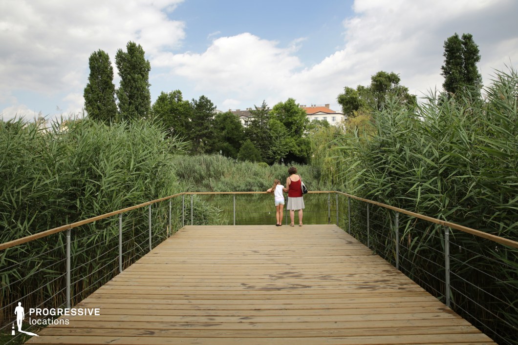 This photograph captures a serene wooden dock stretching over a lush, vibrant waterway. The dock, built with smooth wooden planks, offers a perfect vantage point to observe the flourishing greenery surrounding the water. Tall reeds and dense shrubs border the path, creating a sense of seclusion and tranquility as they blend with the natural landscape. The view showcases a mix of tall trees in the distance, providing further depth to the scene. Their rich, green foliage reflects gently on the surface of the water, amplifying the sense of peace and nature. The dock’s design, with its minimalistic railings, blends seamlessly into the environment, highlighting the lush vegetation surrounding it. The serene atmosphere is ideal for contemplative moments or leisurely strolls, offering a unique connection between the constructed dock and the vibrant, flourishing nature around it.