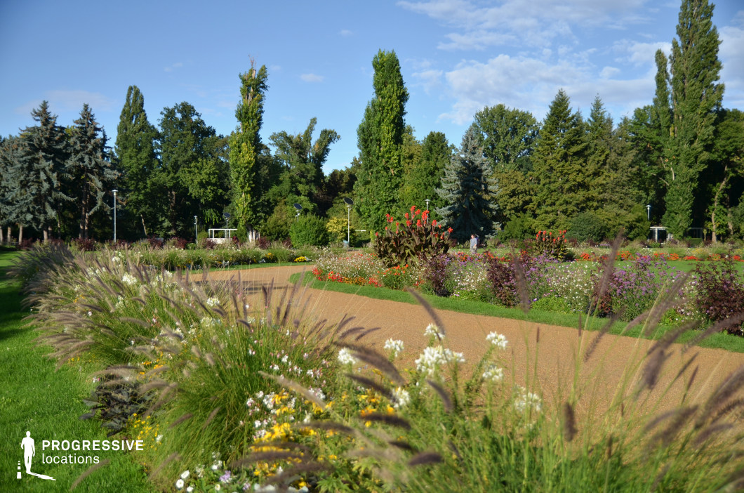 The photograph showcases a vibrant garden pathway surrounded by lush greenery and blooming flowers. The walkway is bordered by a diverse array of flowers, including yellow and purple blooms, interspersed with tall ornamental grasses that gently sway in the breeze. The scene exudes an inviting and peaceful ambiance, with the pathway leading through meticulously arranged flower beds and towards the distant trees. Flanking the path are towering trees, including conifers and broad-leaved varieties, offering a natural canopy that filters the sunlight, casting gentle shadows on the ground. The sunlit sky above enhances the brightness of the colors, from the rich greens of the grass and trees to the vivid hues of the flowers. The overall effect is one of harmony and tranquility, with the carefully landscaped elements contributing to the park’s calm atmosphere.
