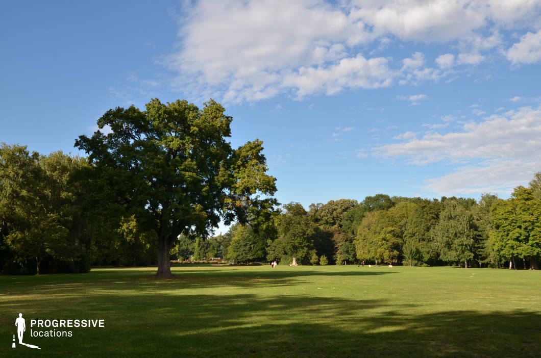 This photograph features a large, open park with a prominent oak tree in the foreground, surrounded by various trees that provide a lush and natural backdrop. The expansive lawn is framed by low shrubs and a well-maintained path, leading the viewer's eye towards the horizon. The bright, clear sky with a few scattered clouds enhances the tranquil and peaceful atmosphere, while the sunlight highlights the vibrant green of the grass and foliage. The park’s spaciousness and organic textures, including the rough bark of the trees and the smoothness of the grass, create a harmonious scene, evoking a sense of calm, freedom, and connection to nature. This location is ideal for film scenes that require wide shots with a serene, natural setting, offering a versatile backdrop for both intimate character moments or broader landscape-driven narratives.