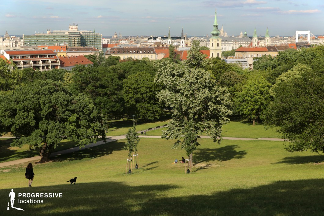 his image captures a city park with a panoramic view of the surrounding urban skyline. The foreground features expansive green lawns, interspersed with scattered trees, offering a peaceful, open environment. A winding path meanders through the park, adding to the scene's sense of depth and inviting exploration. The backdrop is dominated by tall buildings, including a church tower with a distinctive green spire, providing a striking contrast to the natural surroundings. The gentle slope of the park and the well-maintained paths suggest a serene, spacious setting that is ideal for a range of movie scenes, whether for introspective moments, outdoor action sequences, or urban dramas. The harmonious blend of nature and city offers versatility for diverse film genres, while the expansive view allows for a dynamic shot composition, with ample space for actors, vehicles, or objects within the frame.