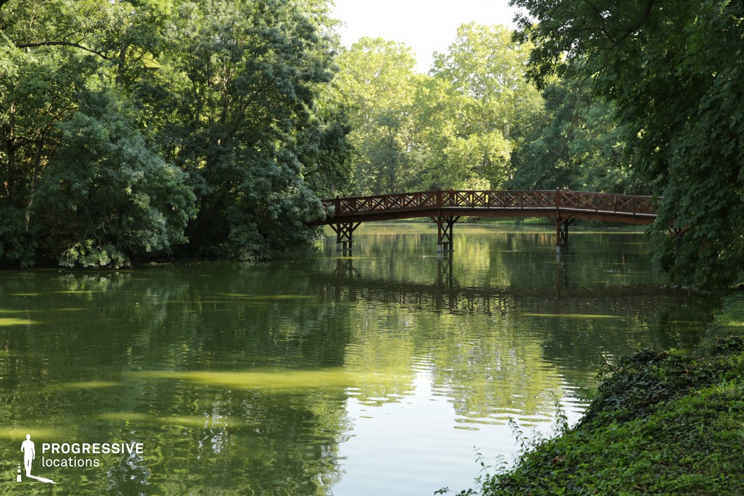  This serene landscape features a picturesque wooden bridge crossing over a calm, reflective lake, surrounded by lush green trees. The bridge, with its classic wooden design and intricate railings, acts as a charming focal point, creating a striking contrast against the vibrant greenery of the surrounding forest. The still water below mirrors the natural elements, enhancing the tranquil atmosphere of the scene. The trees, densely packed along the banks, create a sense of seclusion, offering a peaceful retreat from the outside world. The location is perfect for film scenes that require a calm, secluded environment, ideal for romantic, reflective, or nature-themed shots. The bridge and its surroundings offer an opportunity for various cinematic compositions, whether focusing on the bridge itself, the reflective water, or the lush nature around it. Its quiet and secluded nature is well-suited for intimate moments, adding a touch of serenity and natural beauty to any project.