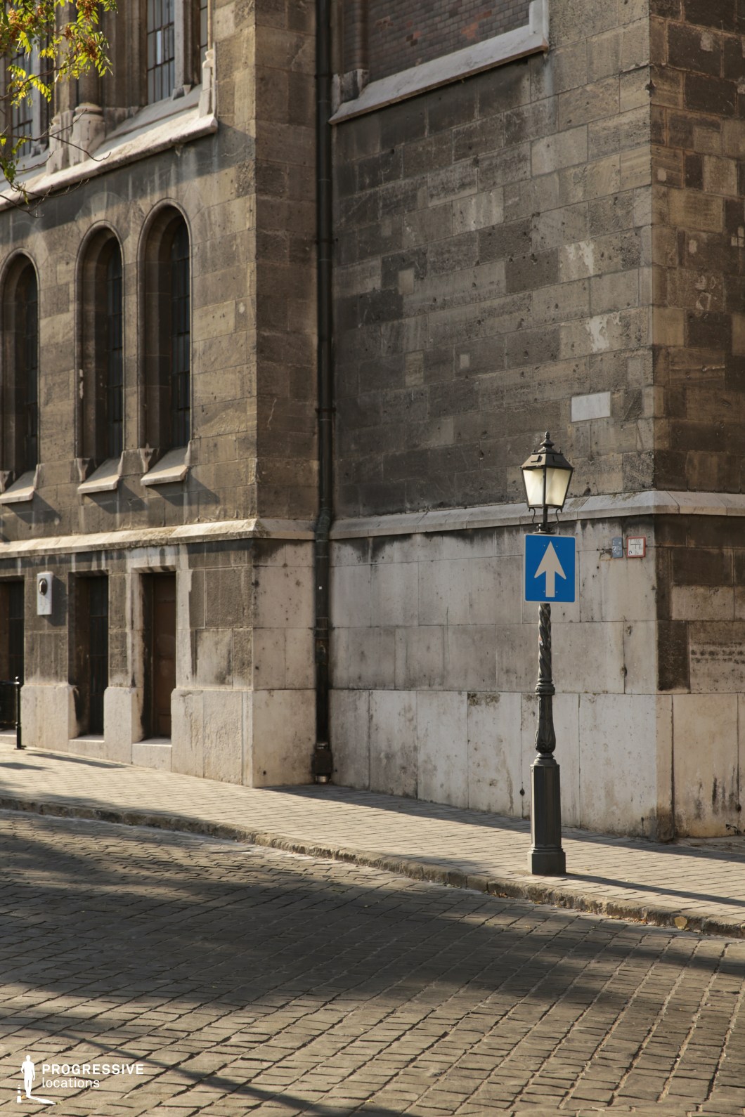 This image features a stately limestone building with a weathered, textured façade, evoking a historical European atmosphere. The structure’s arched windows and stone detailing reflect classical architectural elements, while the aged patina on the walls adds a sense of history. The foreground showcases a cobblestone street, highlighting the surface texture and enhancing the depth of the composition. A vintage-style lamp post stands prominently, contributing to the old-world charm of the setting. The interplay of light and shadow emphasizes the architectural forms and gives the scene a timeless, cinematic quality—ideal for period dramas, historical urban settings, or moody editorial photography.